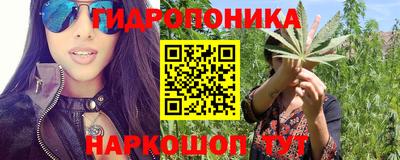 прущие крисы Пушкино