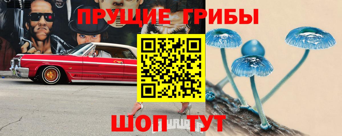 Псилоцибиновые грибы Psilocybine cubensis Оренбург