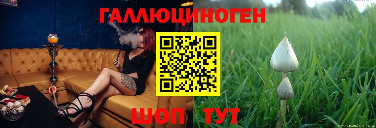 Галлюциногенные грибы Cubensis  дарнет шоп  Оренбург  Псилоцибиновые грибы прущие грибы  Вход с VPN 
